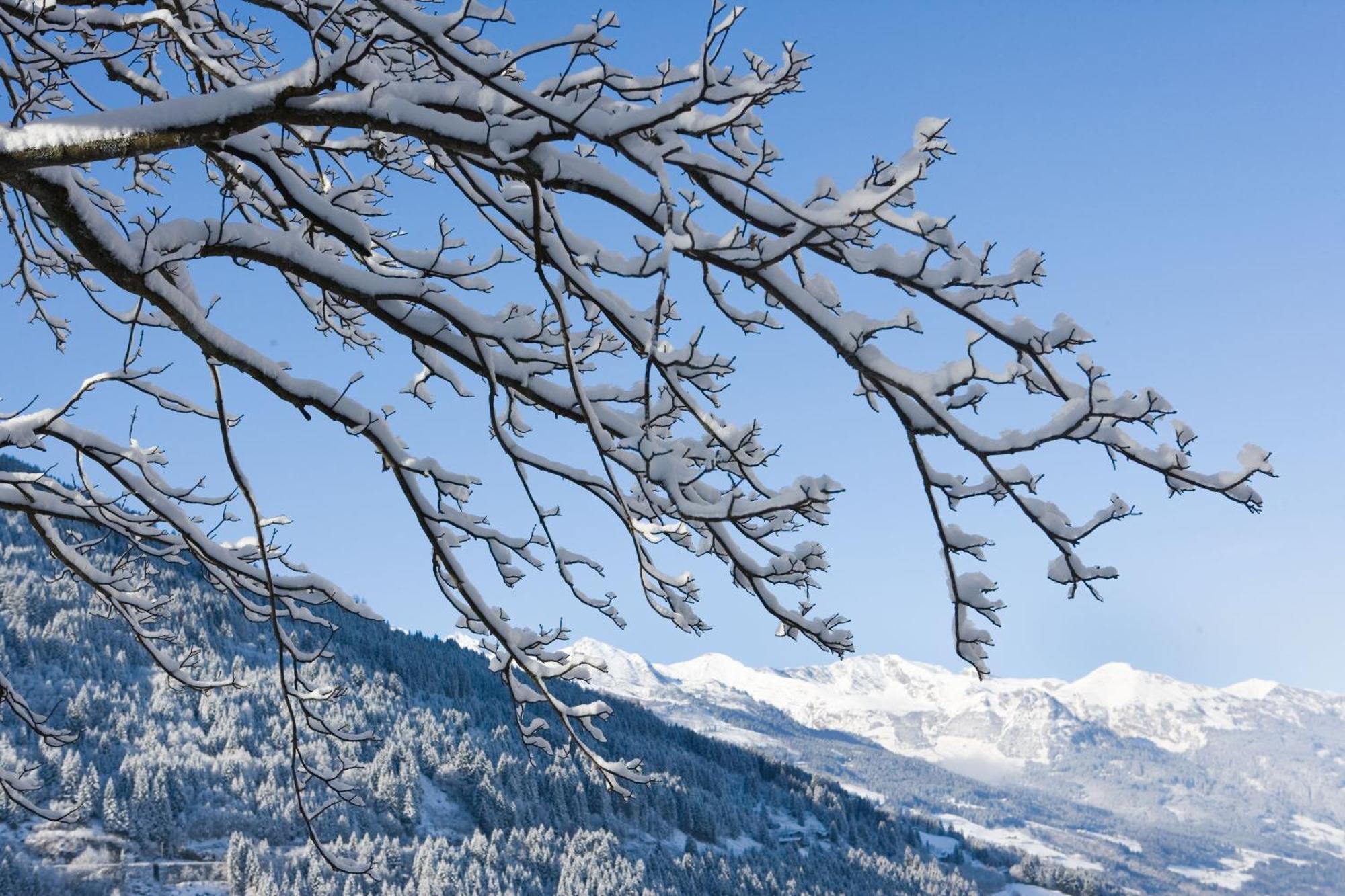 Alpine Spa Hotel Haus Hirt Bad Gastein Εξωτερικό φωτογραφία